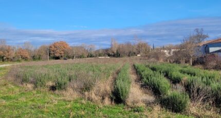 Puygiron Terrain à bâtir - 2208587-812annonce420241112reFbc.jpeg Maisons Open