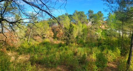 Brignoles Terrain à bâtir - 2146766-10746annonce1202505023rvCA.jpeg Maisons Open
