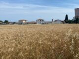  2146897-11018annonce120250502E3pJ9.jpeg Maisons Open