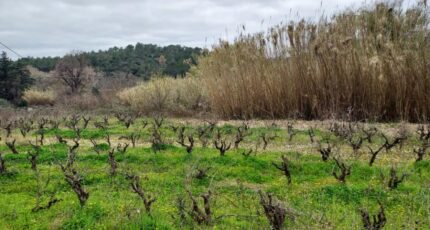 Pierrefeu-du-Var Terrain à bâtir - 2148597-11137annonce120250109mBf3e.jpeg Maisons Open