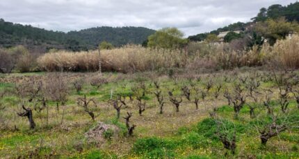 Pierrefeu-du-Var Terrain à bâtir - 2148597-11137annonce320250109g2xMr.jpeg Maisons Open
