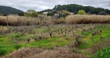 Pierrefeu-du-Var Terrain à bâtir - 2148597-11137annonce420250109VO7B9.jpeg Maisons Open