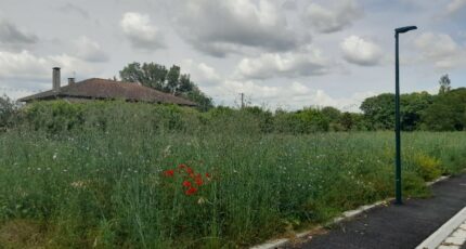 Noé Terrain à bâtir - 2147642-6043annonce520250502CZJuJ.jpeg Maisons Open