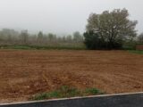  2151430-11018annonce120250507RRsbg.jpeg Maisons Open