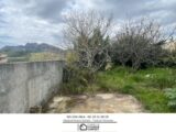  2151661-3951annonce120250507tGJzl.jpeg Maisons Open