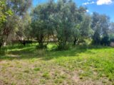  2154291-11137annonce220250512X2Jx9.jpeg Maisons Open