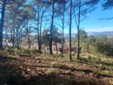  2155294-11137annonce320250116OHzEp.jpeg Maisons Open