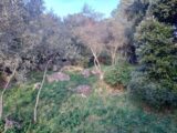  2155297-11137annonce120250116MZxT4.jpeg Maisons Open