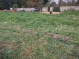  2153321-10730annonce320250509obAGG.jpeg Maisons Open