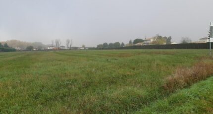 Buzet-sur-Tarn Terrain à bâtir - 2154871-5202annonce420250512QCbuz.jpeg Maisons Open