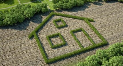 Château-Guibert Terrain à bâtir - 2168530-10920annonce120250523rfvtT.jpeg Maisons Open