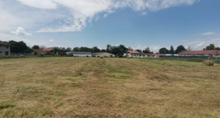 Juillan Terrain à bâtir - 2176684-902annonce120230607E6uTd.jpeg Maisons Open