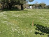  2176981-11110annonce220250602Tr6Bc.jpeg Maisons Open