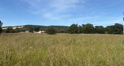 Buzet-sur-Tarn Terrain à bâtir - 2174854-11356annonce42025053084nMo.jpeg Maisons Open