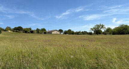 Montpitol Terrain à bâtir - 2175307-11356annonce420250530AbLcR.jpeg Maisons Open