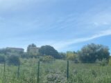  2178441-11018annonce220250603mouzg.jpeg Maisons Open