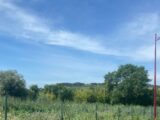 2178441-11018annonce320250603L22MO.jpeg Maisons Open