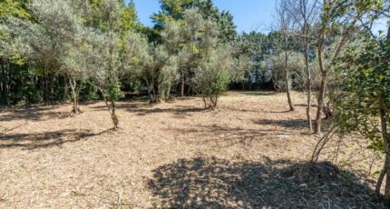Uzès Terrain à bâtir - 2178531-4620annonce120250603hJNOJ.jpeg Maisons Open