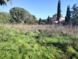  2176847-11039annonce3202506023iX1p.jpeg Maisons Open