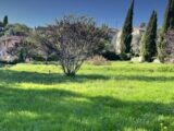  2179391-10140annonce120250604w3gsa.jpeg Maisons Open