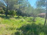  2186463-692annonce420250610hhBzT.jpeg Maisons Open