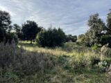  2186868-4620annonce120250611PISEp.jpeg Maisons Open