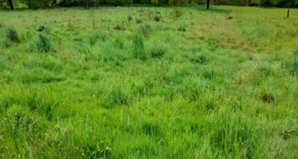 Couzeix Terrain à bâtir - 2187553-3291annonce2202506118CDmt.jpeg Maisons Open