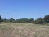  2187827-6013annonce120250611l50t0.jpeg Maisons Open