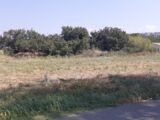  2187827-6013annonce220250611ZNFGs.jpeg Maisons Open