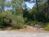  2189691-11040annonce1202506129cyEJ.jpeg Maisons Open