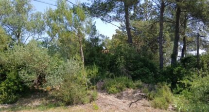 Saint-Drézéry Terrain à bâtir - 2189685-11040annonce120250612mrBDg.jpeg Maisons Open