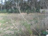  2192527-3243annonce220250615U3l9Z.jpeg Maisons Open