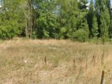  2202572-1807annonce220250624vut0Z.jpeg Maisons Open