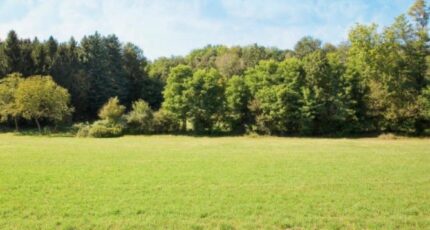 Cergy Terrain à bâtir - 2144137-11360annonce120250429ctBgw.jpeg Maisons Open