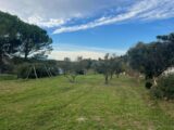  2136940-11073annonce120250420cTM9T.jpeg Maisons Open