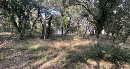 Grignan Terrain à bâtir - 2212177-6150annonce520250125sywhb.jpeg Maisons Open