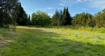 Grillon Terrain à bâtir - 2212193-6150annonce220230705k5FJe.jpeg Maisons Open