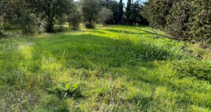 Grillon Terrain à bâtir - 2212193-6150annonce420230705N0sC7.jpeg Maisons Open