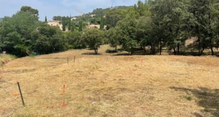 Taradeau Terrain à bâtir - 2212200-9707annonce320250703ebiTu.jpeg Maisons Open