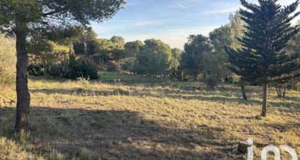 Lézignan-Corbières Terrain à bâtir - 2212336-10986annonce1202507038hbnX.jpeg Maisons Open