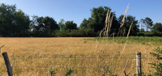 Terrain à bâtir à Saint-Jean-d'Illac, Nouvelle-Aquitaine