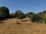  2213445-11455annonce120250704tgneM.jpeg Maisons Open