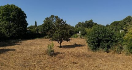 Aigues-Vives Terrain à bâtir - 2213445-11455annonce120250704tgneM.jpeg Maisons Open