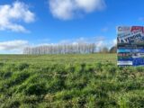  2211913-10222annonce2202507029XPzT.jpeg Maisons Open