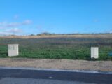  2174201-11372annonce120250528SBFTJ.jpeg Maisons Open