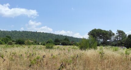 Garéoult Terrain à bâtir - 2214945-10744annonce420250704XnJTx.jpeg Maisons Open