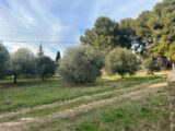  2214177-7289annonce120250704652uA.jpeg Maisons Open