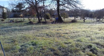 Montauban Terrain à bâtir - 2182678-5604annonce220250606OkyfX.jpeg Maisons Open