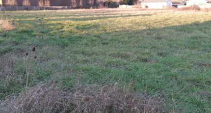 Montauban Terrain à bâtir - 2182678-5604annonce420250606DHPTT.jpeg Maisons Open