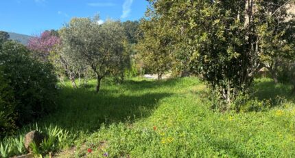 Toulon Terrain à bâtir - 2149474-11136annonce12025050616wN8.jpeg Maisons Open